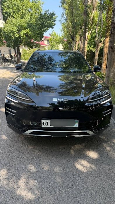 Byd chempion 2025restyling 605