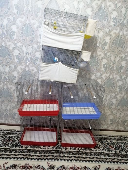Продаются клетки
