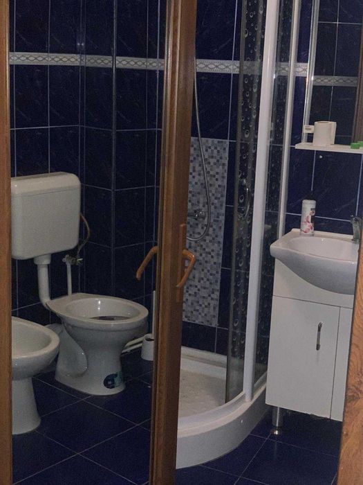 Închiriere vilă elegantă cu 3 dormitoare și curte amenajată – Roman