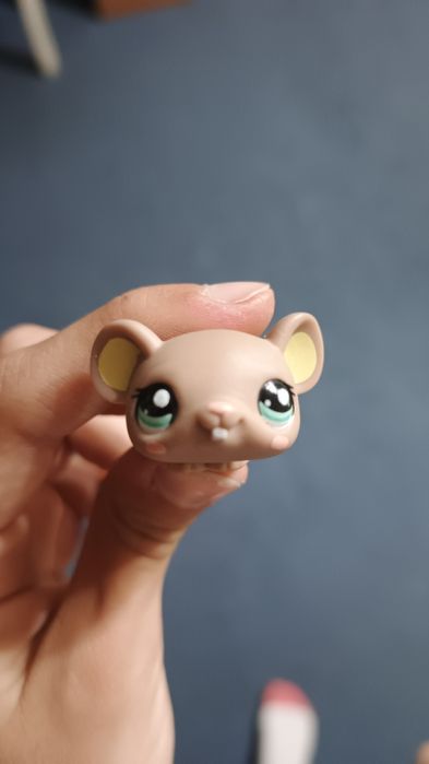 Lps mouse #1889.
