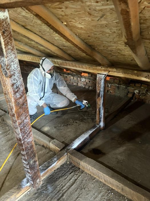 Импрегниране против дървояди