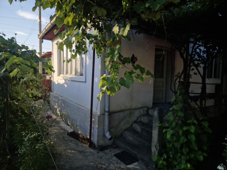 Casa cu gradina si anexe Lechinta