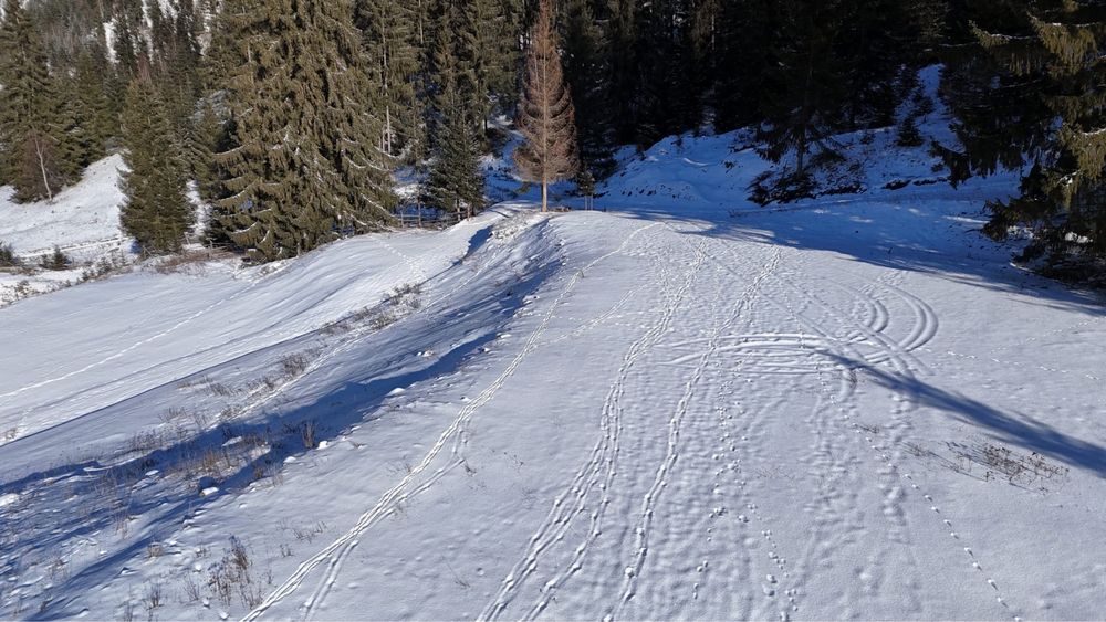 Vand /schimb cu auto doua parcele INTRAVILAN munte Bucovina