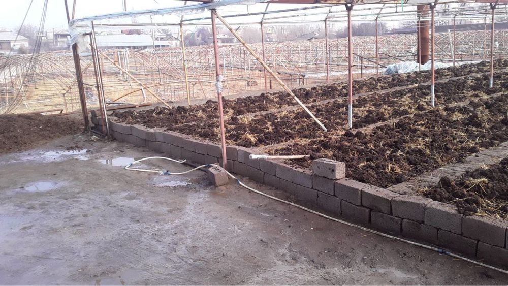 Ferma, Dalla, Dacha 70 sotih