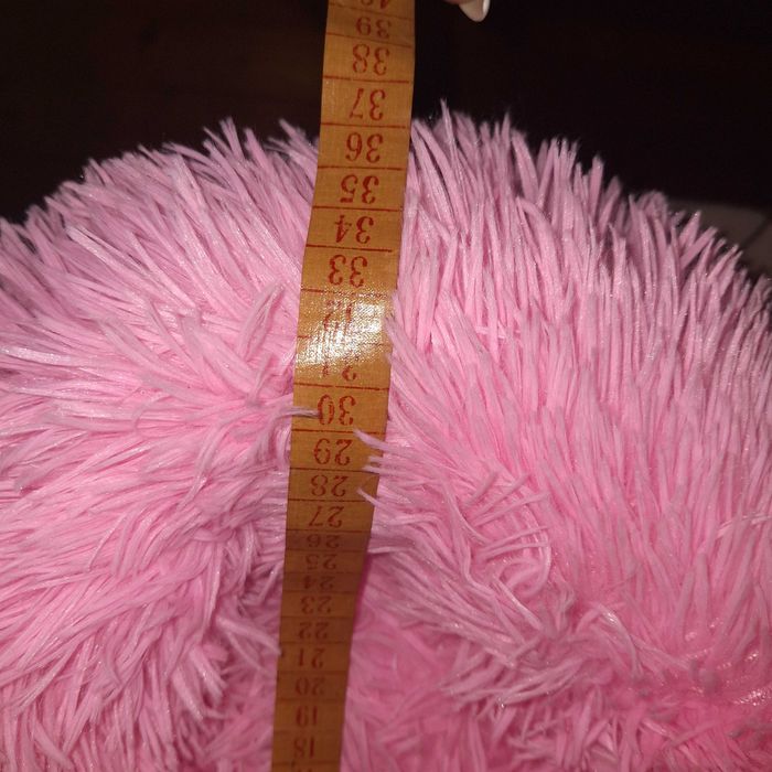 Легло за коте или мини порода куче