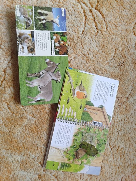 Детски книжки Франклин, Пес Патрул, детски приказки и други