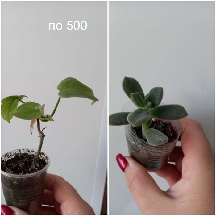 Разное, для себя и на подарок!