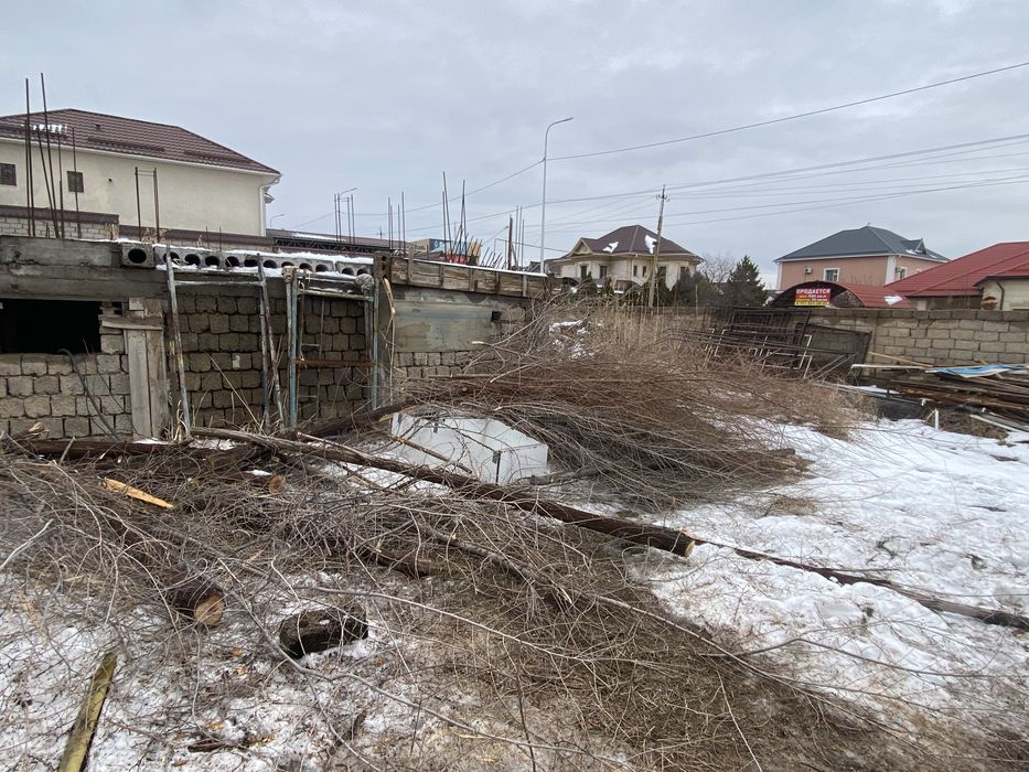 Деревья и ветки бесплтано