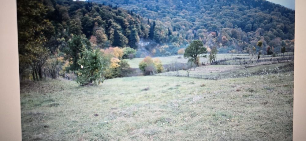 Vand teren Cuiejdi cel mai bun pret 22.000eur