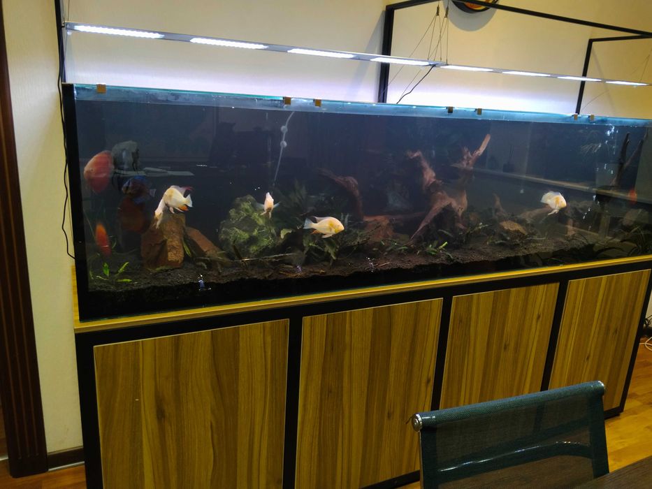 Профессиональная чистка аквариума AQUALIFE