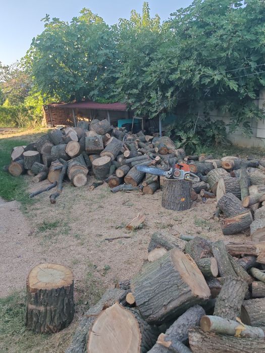 Рязане на дърва 12лв кубик