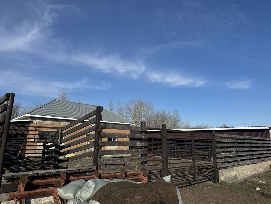 Конюшня в аренду.гСемей