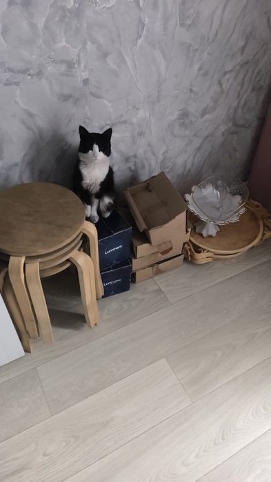 Аренда стола и табуреток