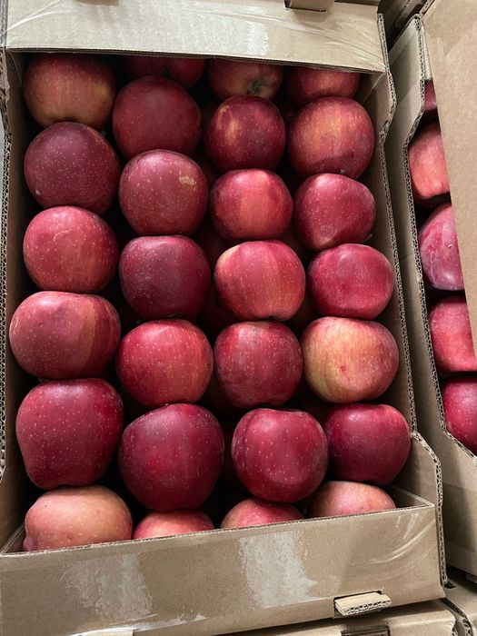 Продам яблоки Американка