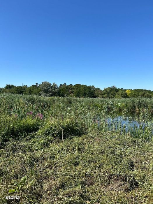 Teren cu deschidere la lac str Orhideelor-conectare imediata la curent