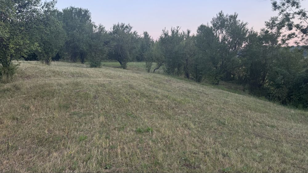 Teren de vanzare extravilan