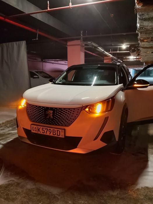 Электрокроссовер Peugeot (Пежо)


+7
Электрокроссовер Peugeot e-200