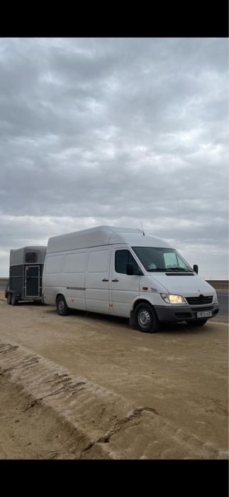 Услуга коневозки Астана Алматы по городу между город