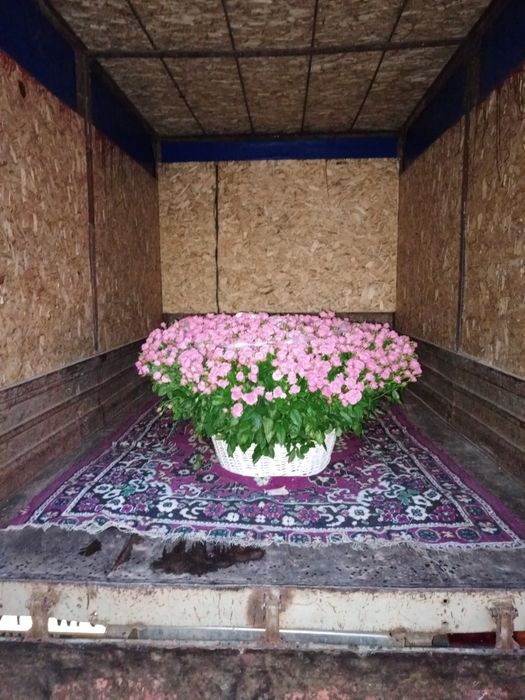 Нужна Газель не проблема?!