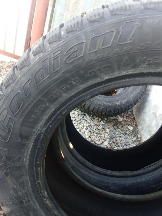 Продам два болона всесизонка.