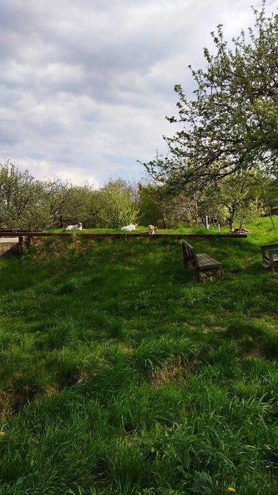 Vand teren si casa in Adancata