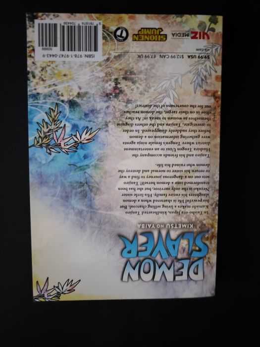 Demon slayer vol. 9