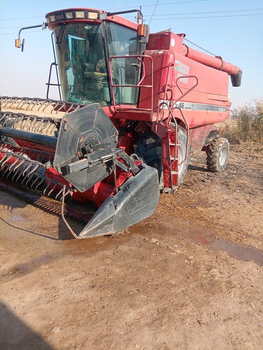 Model :Case-2166  ceys Kambayn