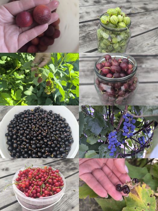 Продам дачу Геолог