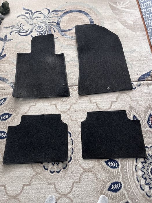 Полики соната 2021 дн8