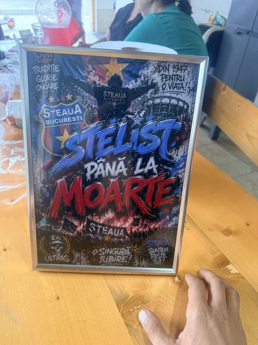 Tablou stelist pana la moarte