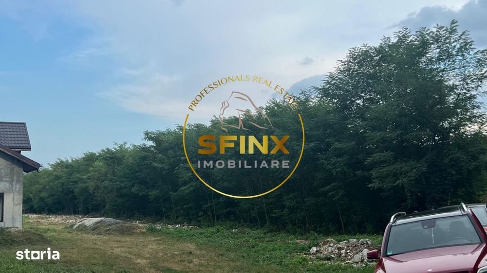 Teren intravilan 1000mp | Snagov | Padure I Drum asfaltat