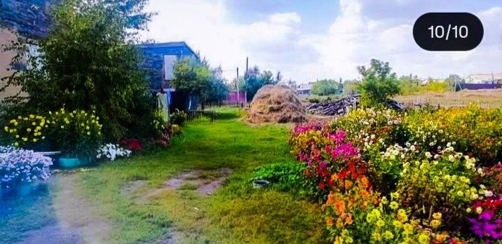 Продам дом в майкудуке