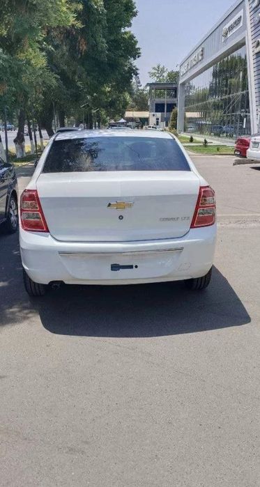 Cobalt  Arenda Variant 2025/ Oq/ Toza/ 0km/ Benzin