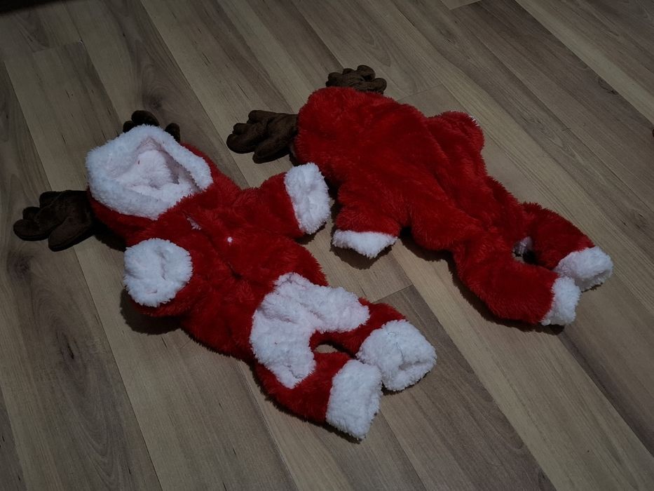 Раздача вещей для котят и кошек