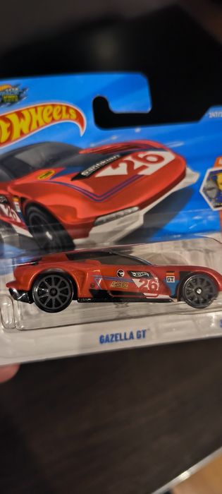 Treasure hunt GAZELLA GT.