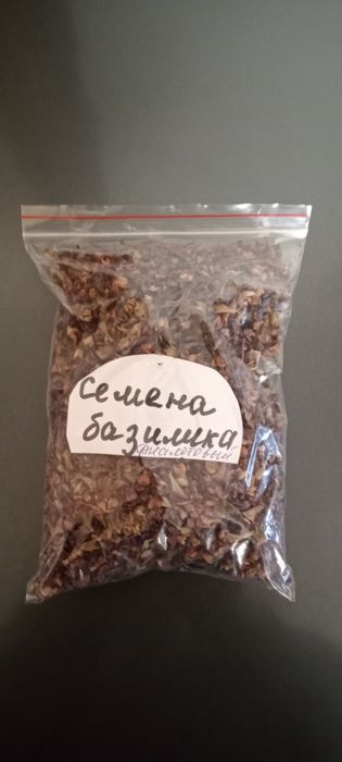 Продам семена базилика фиолетовый , мелиссы