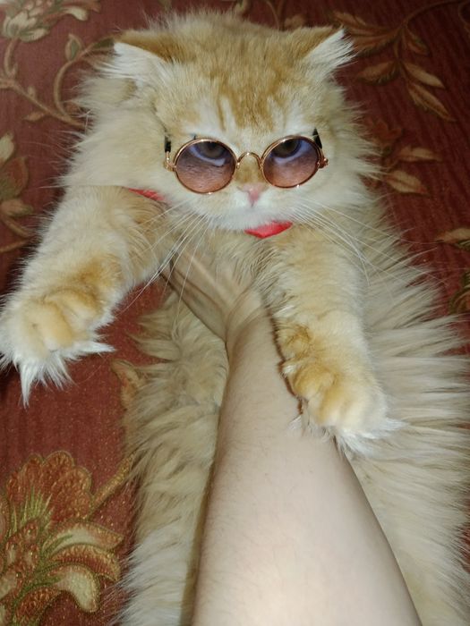 Временная скидка для страйтов