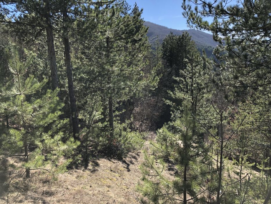 Продава се Парцел в с. Луково, Област София-област - 840 кв.м за 28 €/кв.м - Снимка #8