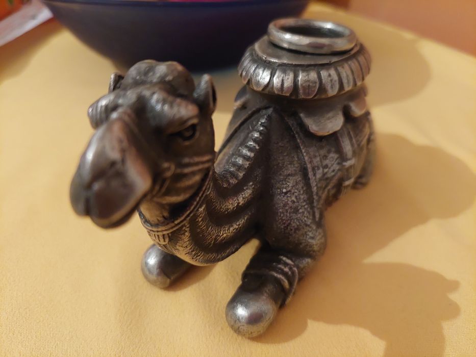 Свещеник камила,