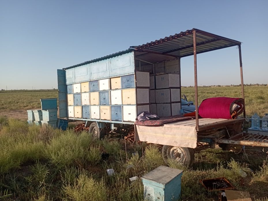 Asalari pritsip 42ta yashik holati zur