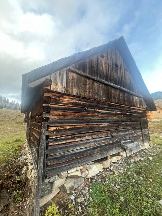 Vand constructie din lemn cioplit