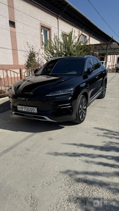 Byd champion smart