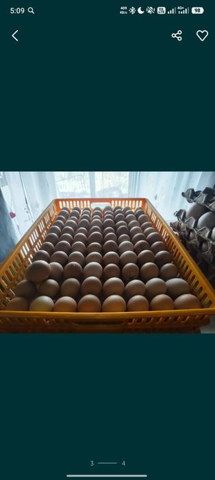 Продам инкубатор
