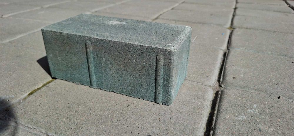 Тротуарная плитка (100х200х80)