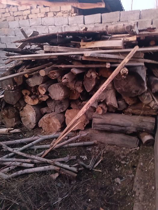 Йенгил мошинани прсепида чикади