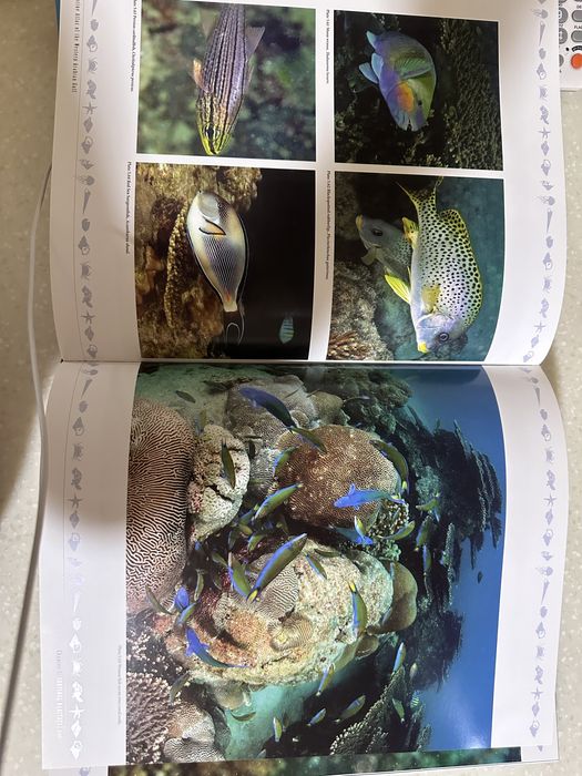 Атлас морской