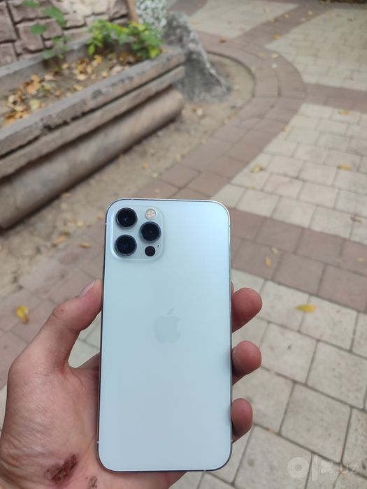 iPhone 12 Pro 256