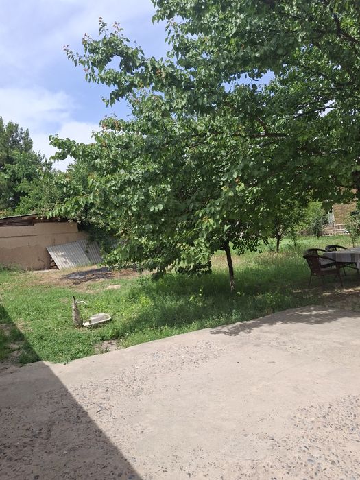 Oltin tepa mebelnida ,7.8 sotix hovli