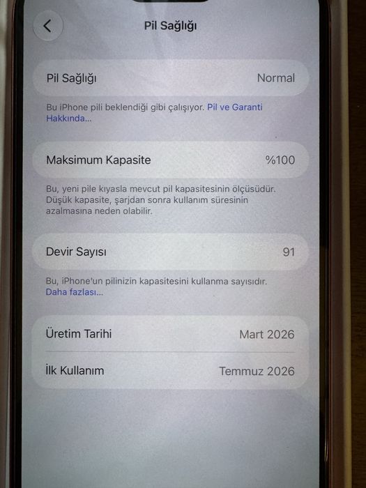 17 Pro Max 256 гб Е сим