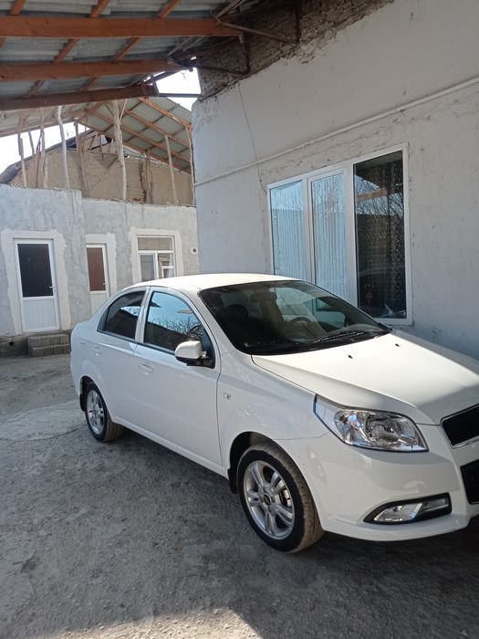 Nexia 2022 exprt variant